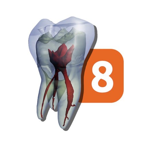 Tooth Atlas 8