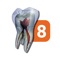 Here are the coolest new features of Tooth Atlas 8: