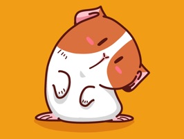 Potato Chips: A handsome and humorous guinea pig