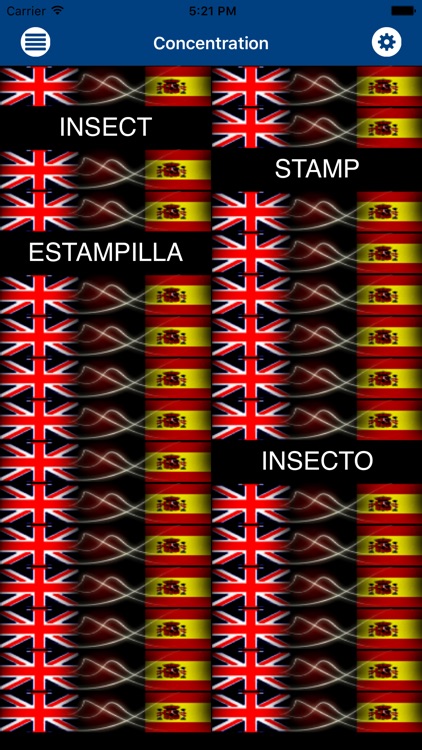 Alumno: Spanish Flashcards screenshot-3