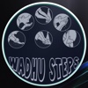 Wadhu Steps