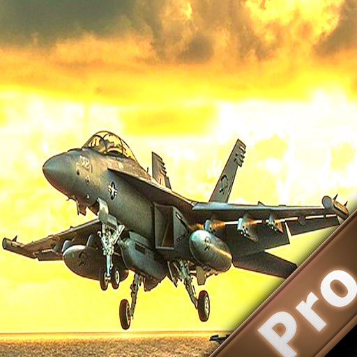 Away Flight Pro:Amazing Combat Aircraft Simulator icon