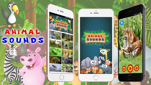 Animal Sounds - Toddler Animal Sounds and Pictures(圖1)-速報App