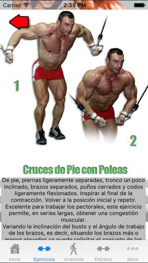 FITNESS ponte 