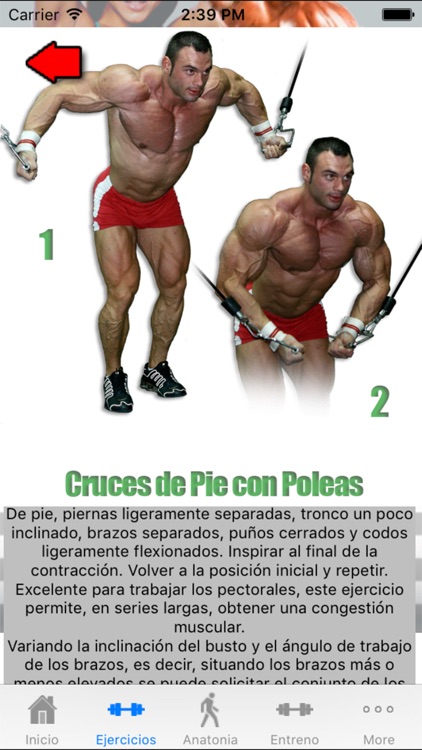 FITNESS ponte "en Forma"