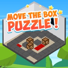 Activities of Move The Box Puzzle