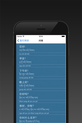 Tibet Travel Phrase Chinese screenshot 2
