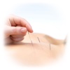 Acupuncture Dictionary- Glossary and Tutorial