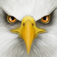 Ultimate Bird Simulator pour PC