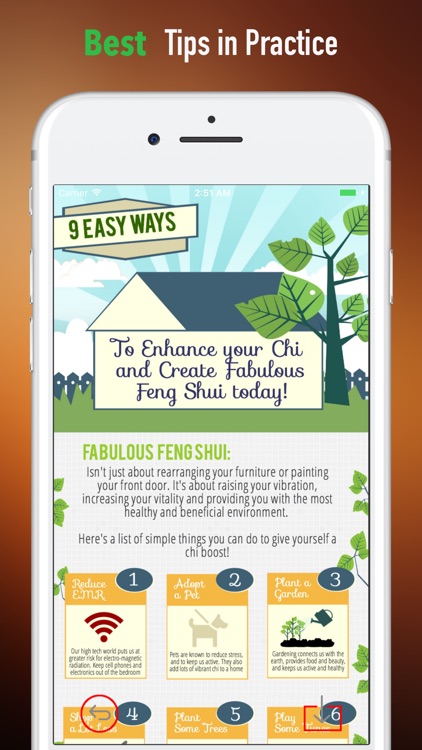 Feng Shui 101-Tips and Tutorial screenshot-3