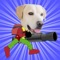 Bug Shooter Pro