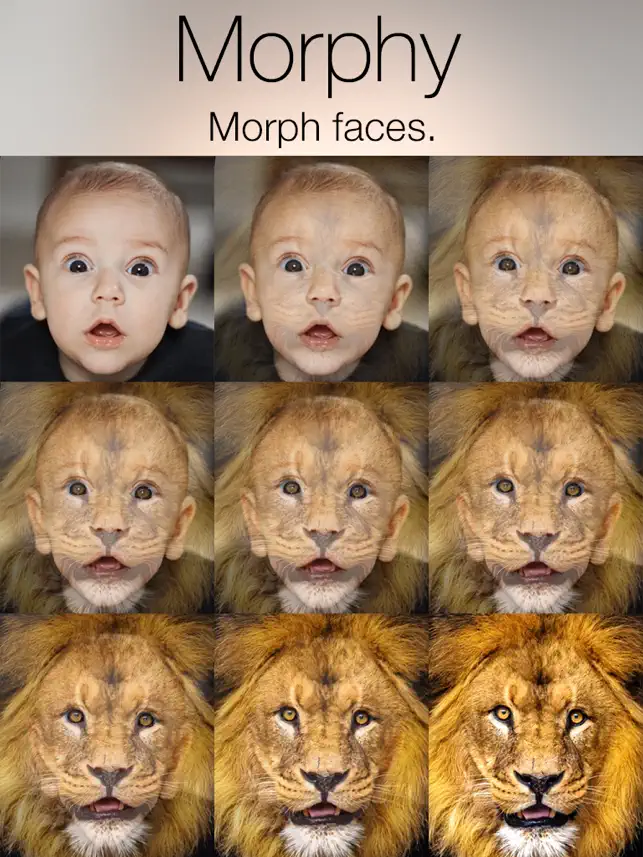 Screenshot 1 Morphy - Face Morph GIF & Movie Maker iphone
