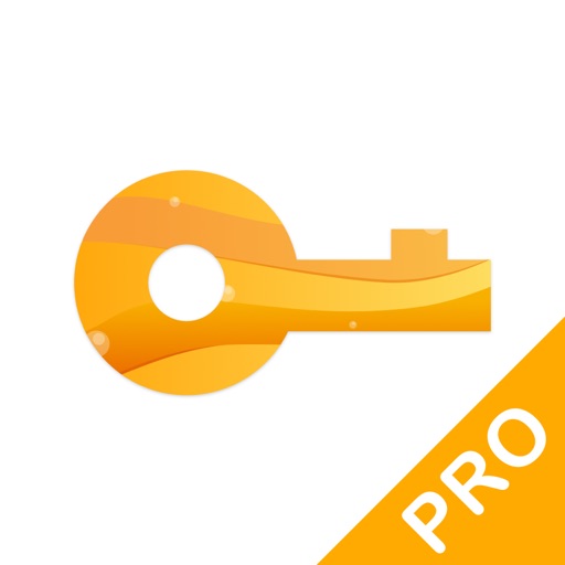 VPN Master Pro - No ADs icon