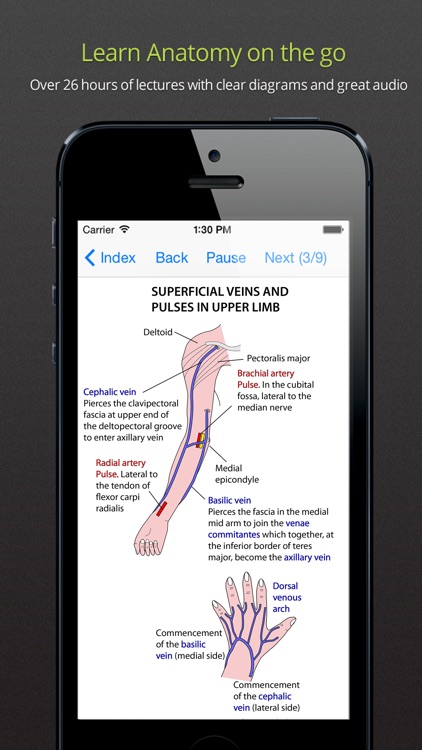 Instant Anatomy Anthology screenshot-3