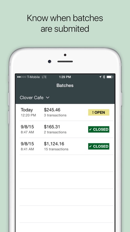 Clover Dashboard screenshot-3