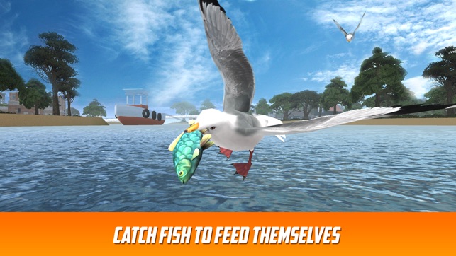 Seagull Bird Survival Simulator 3D Full(圖2)-速報App