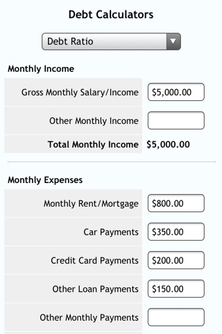 Debt Calcs screenshot 3