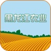 黑龙江农业平台