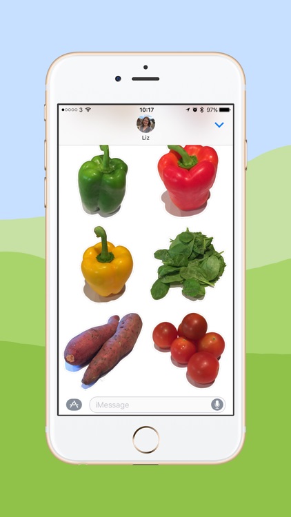 Vegetable Stickers - Great for Veggies and Vegans