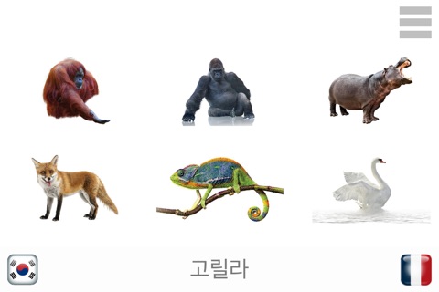 Baby Learn - KOREAN screenshot 4