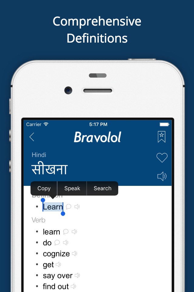 Hindi English Dictionary Pro screenshot 2
