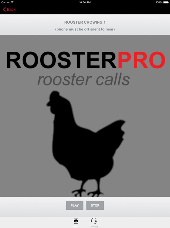 Rooster Sounds and Rooster Crowing