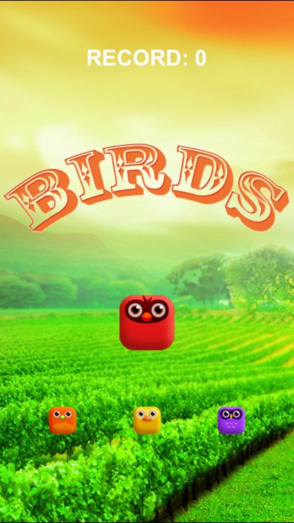 north america birds eye pop free game