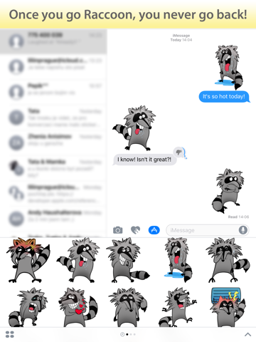 Raccoon screenshot 2