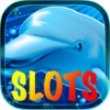 Amusing Dolphin Slot Machine Poker
