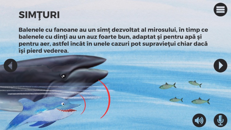 Balene si delfini screenshot-3