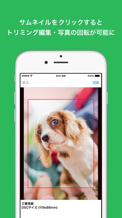 しまうま写真プリント〜スマホ写真を簡単ネットでプリント〜 screenshot-4
