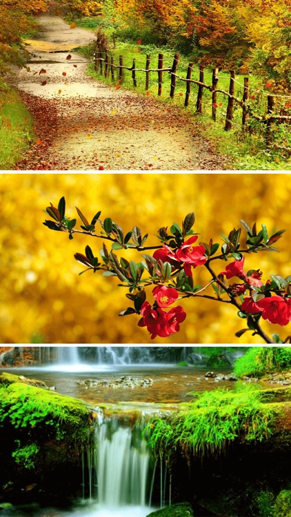 Beautiful Nature Wallpapers & Backgrounds in HD screenshot-3