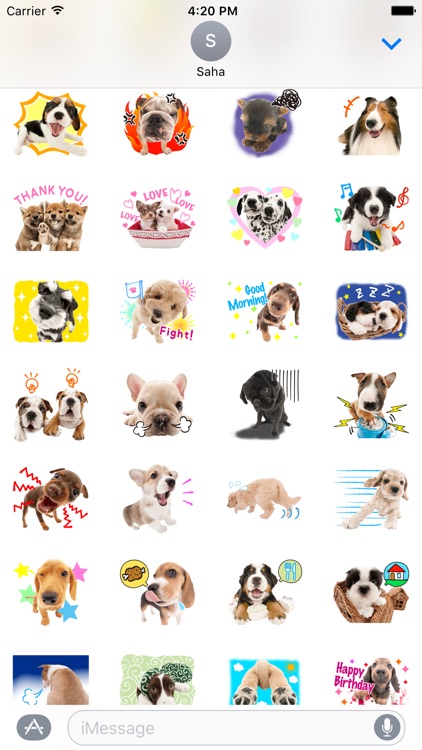 Funny Dogs Stickers