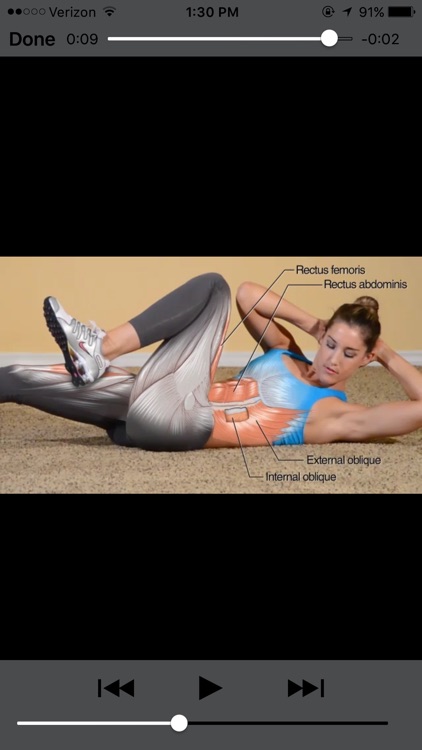 Bodyweight Training Anatomy