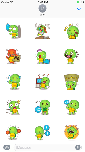 Funny Turtle Sticker