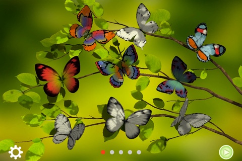 Paint Me a Butterfly! screenshot 2