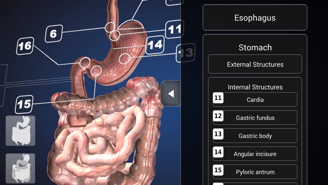 Endoscopy 3D (Ad Version)(圖3)-速報App