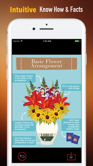 Flower Arrangement 101|Tutorial Guide and Tips(圖1)-速報App