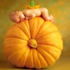 Pumpkin Wallpapers HD| Quotes with Art Pictures