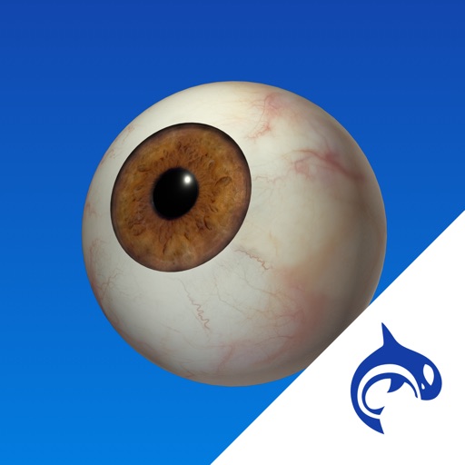 Eye Decide - Education & Engagement icon