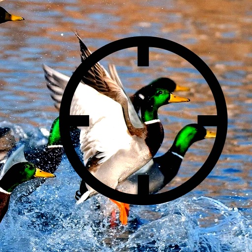 Action Duck Target : Good Hunting iOS App