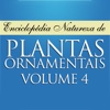 Plantas Ornamentais - Volume 4