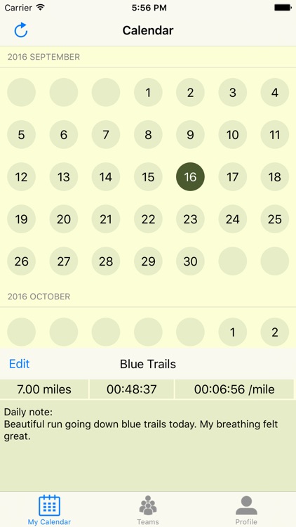 Run Logger: Powered by LogARun