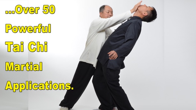 Tai Chi Martial Applications(圖3)-速報App