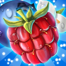 Activities of Forest Fruits Crush with tasty candy & sweet sugar