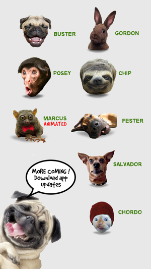 Animal Funny Faces(圖3)-速報App