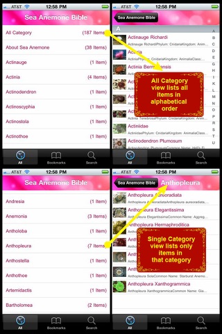 Sea Anemone Bible screenshot 2