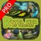 Royal War of Dragons - Hidden Objects Pro