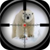 2016 Angry Polar Bear Attack Free