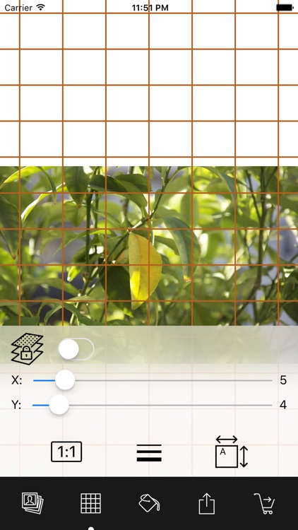 Drawing Grid